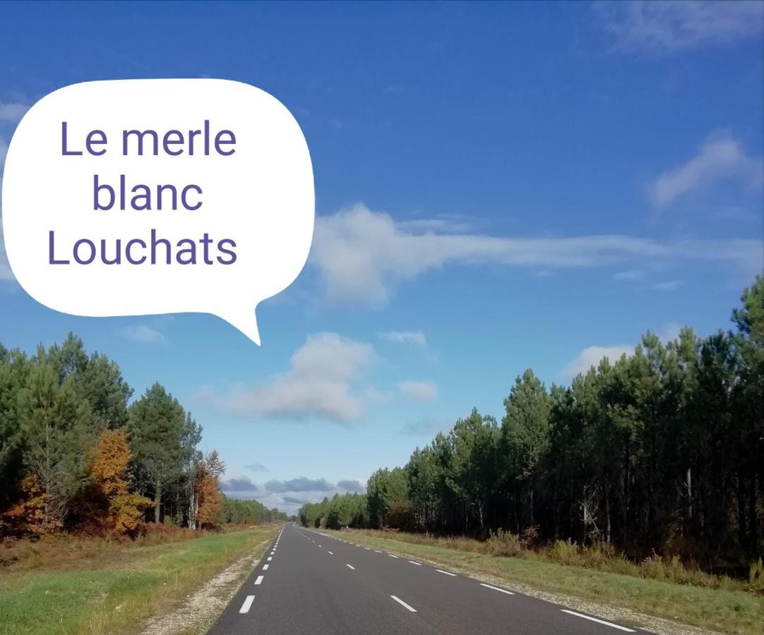 Le Merle Blanc Louchats Hotel Exterior foto